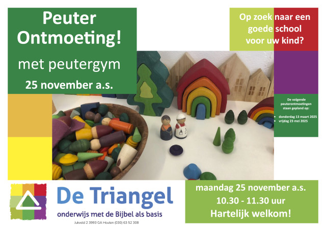 20241125 PO Triangel H